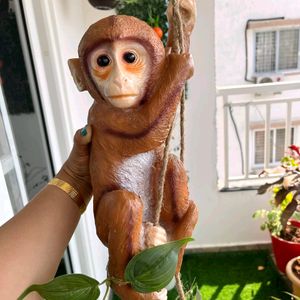 Monkey Showpieces