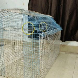 BARGAIN & BUY Huge Birds Cage (Large Size)