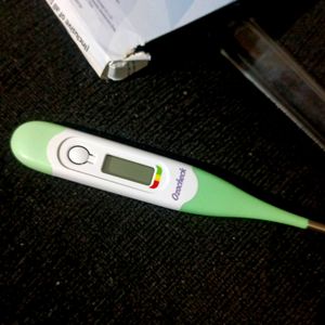 Digital thermometer