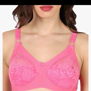 1 Dark Pink Non Padded Bra (36/90)