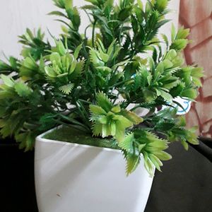 Artificial Plant Green Look Like Fresh
