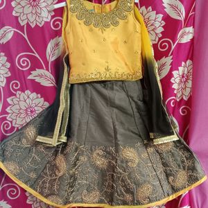 Fancy Embroidery Lehenga