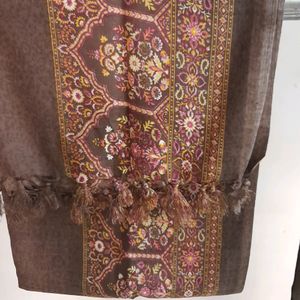 Brown Pashmina Suit