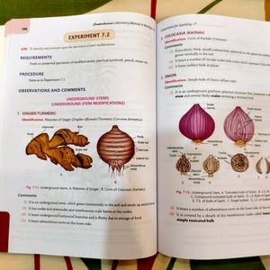 Biology Laboratory Manual Class 11