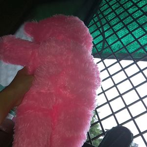 Pink Teddy New