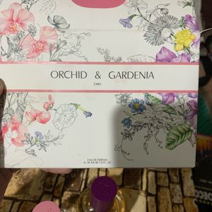 *Combo Offer* Zara Gardenia And Orchid