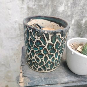 Ceramics And Plastic Pots