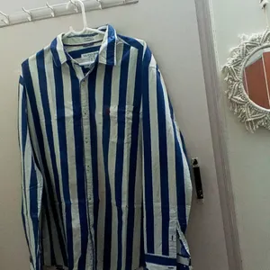 U.S. Pollo  Blue And White Striped Men Shirt