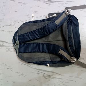 Skybags Backpack Bag