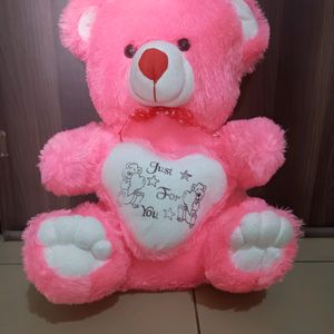 Pink 🩷 Super Soft Teddy