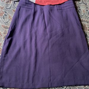 Beautiful Purple Skirt Top Set