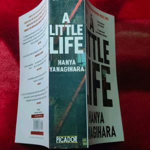 A Little Life Book By Hanya Yanagihara (BRAND NEW)