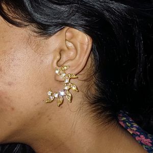 Gold Coloured Earings