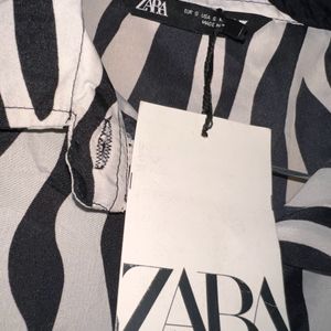 Zebra Print Short For Women