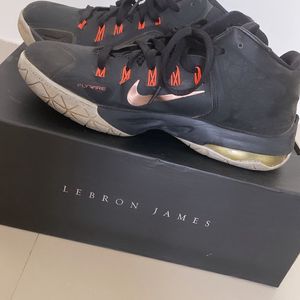 Nike Lebron James Ambassador VII