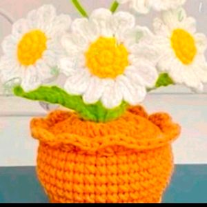 Crochet 6 Flower Pot