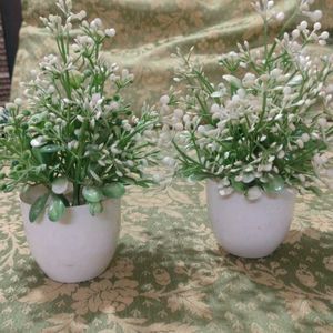 Artificial Flower Plants