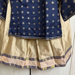 Beautiful Lehenga Choli Dress (M/34)