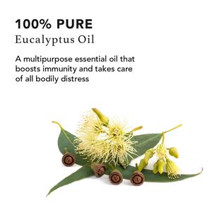 Eucalyptus 100 Pure Essential Oil