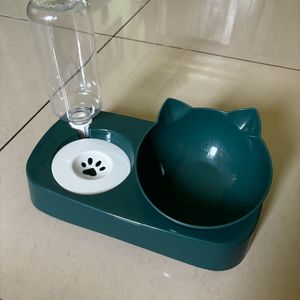 Cat Food & Water Dish