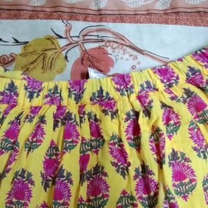 Colorful Flared Skirt