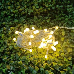 Fancy Rice Light For Diwali And Birthday