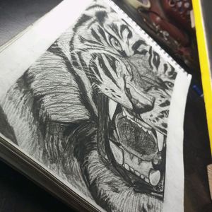Charcoal Tiger Sketch