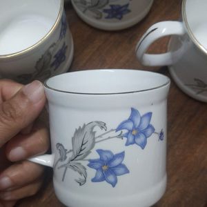 Set Of 6 Tea Cups