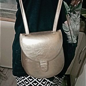 Classy Shiny Slingbag