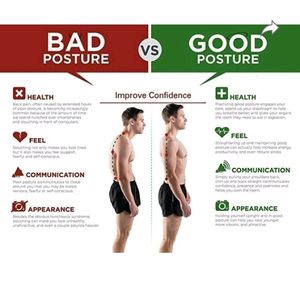 Posture Corrector