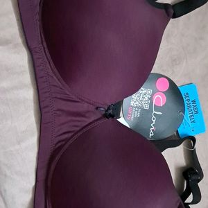 38 C(95cm) CLOVIA PADDED BRA