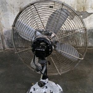 Cinny Table Fan