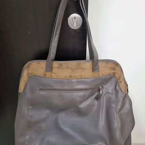 Baggit Tote Bag