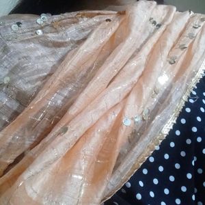 Light Orange Dupatta With Sequence Work