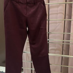 Maroon Trouser