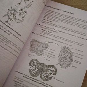 Ncert Exampler Class 12 Biology...Cbse/Jee/Neet