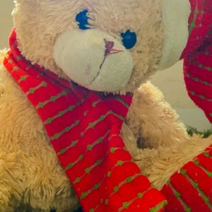 Taddy Bear Soft Toy