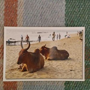 15 Goa Post Cards