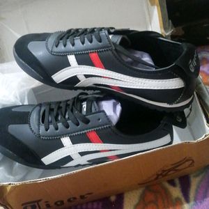 Brand New Tiger Men Shoe