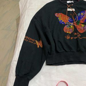 Korean Butterfly Hoodie Bust Till 46