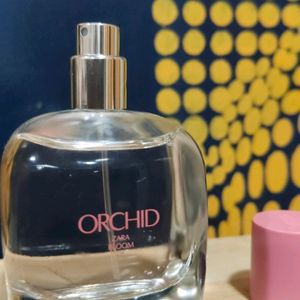 Zara Perfume orchid