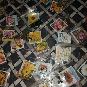 40Varieties Of Flower Seeds