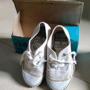 White Sports Shoe