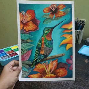 Hummingbird Painting On A4 Sheet