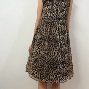 Printed Dress