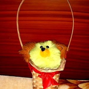 Cute Teddy In Bamboo Basket