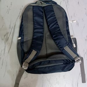Brand New Skybags Backpack For Students