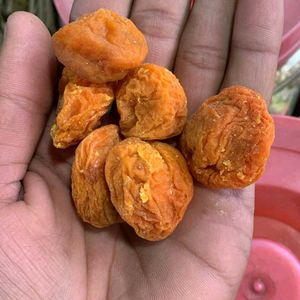 Kashmiri Apricot