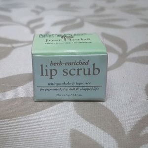 Just Herbs Herb Enriched Mint Lip Scrub-5g