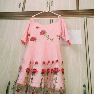 Gorgeous Embroidery Dress